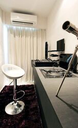 Blk 1A The Pinnacle@Duxton (Bukit Merah), HDB 4 Rooms #538107971